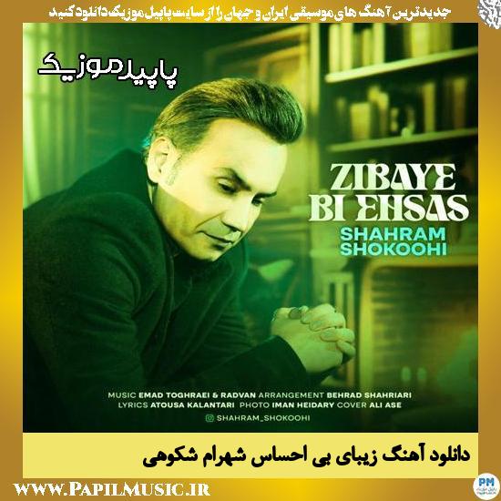 دانلود آهنگ زیبای بی احساس از شهرام شکوهی